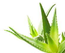 Load image into Gallery viewer, Aloevera juice - Wonder Herbals India
