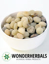 Chilla ginjalu (nirmali seeds) - Wonderherbals