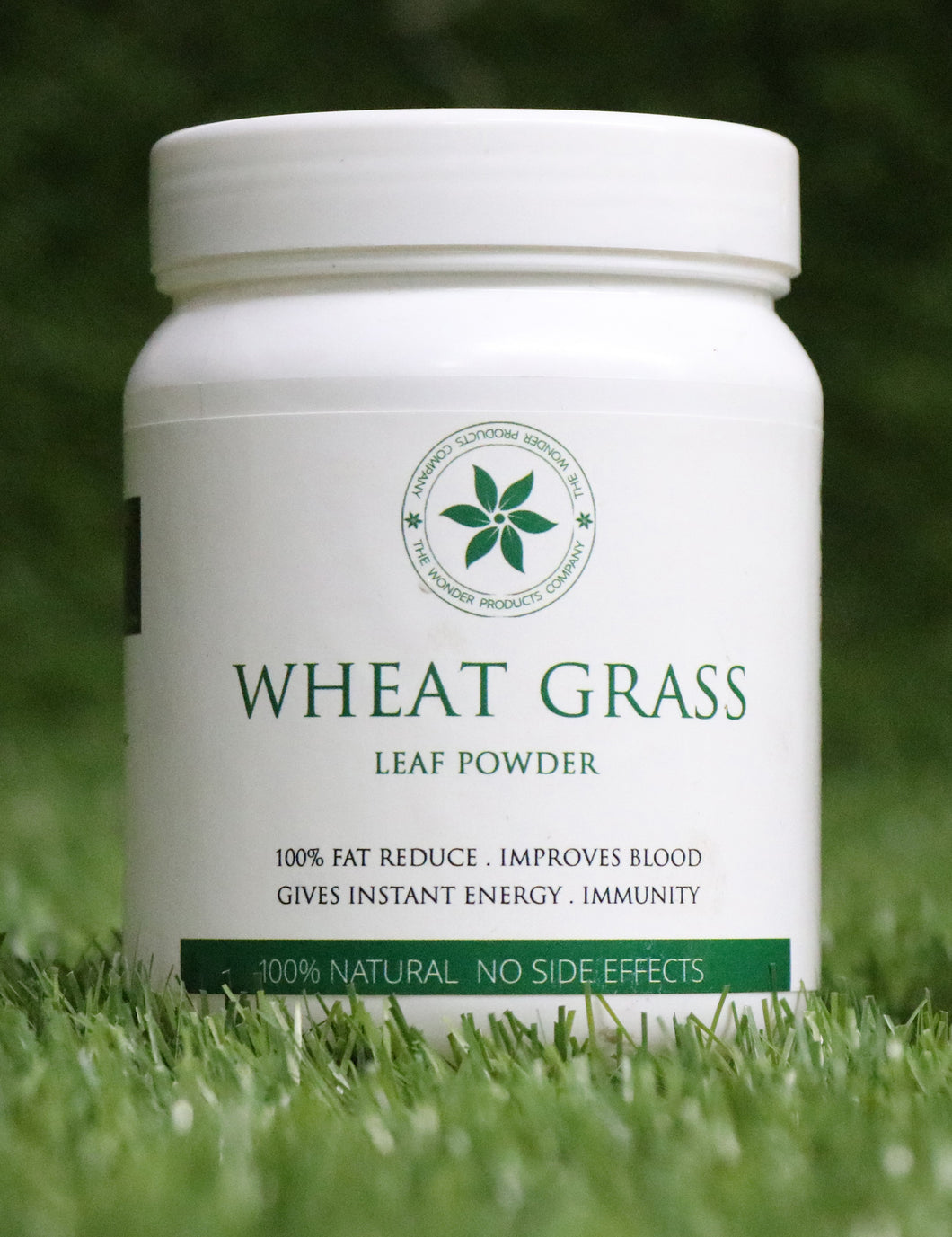 Wheat Grass Powder - Wonder Herbals India